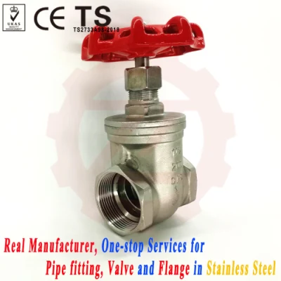 High Quality 304 Stainless Steel Thread Type Gate Valve