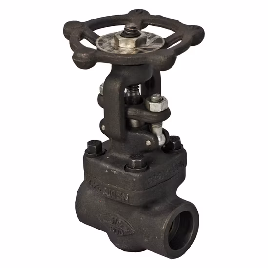 High Pressure Temperature Wcb CS Ss Stainless Steel Flanged FF Forged Steel Globe Valve