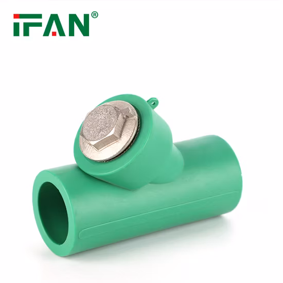 Ifan Water Strainer Brass Valve for Filter Valve