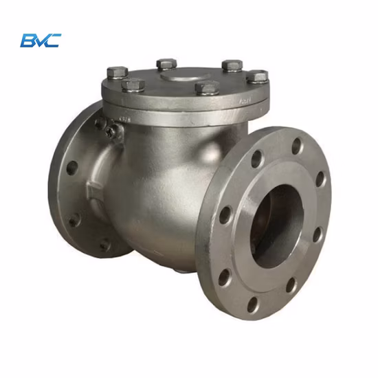 Class 300 Flange Swing Check Valve