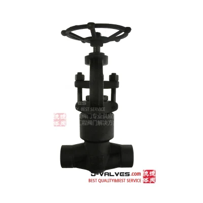 Forged Steel Globe Valve Ss/as/CS A105/F22/304/316 Threaded/Sw/Pressure Sealing Cl900