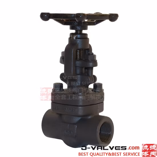 Forged Steel A105 F304 F316 Socket Weld 800lbs Steam Globe Valve CS Stainless Steel